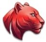 Panther Technology Solutions logo